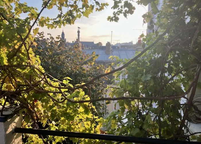 Charming T2 Near Of Apartament Trouville-sur-Mer