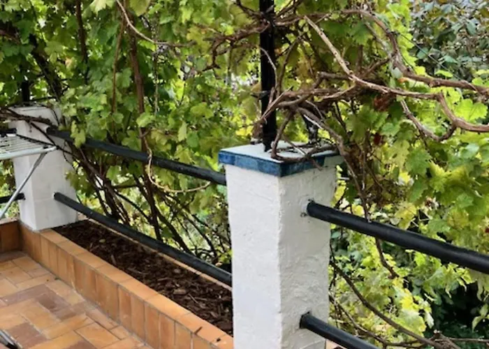 Charming T2 Near Of * Trouville-sur-Mer